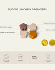Citron Lunchbox Organisers