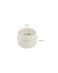 Citron Stainless Steel Insulated Food Jar 250ml