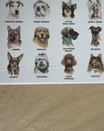 Journey of Something Guess the Doggy | SECONDS SALE