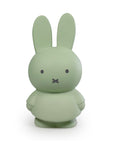 Miffy EUCALYPTUS Money Box