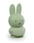 Miffy Money Box EUCALYPTUS