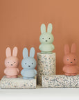 Miffy Money Box