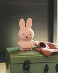 Miffy Coin Box Powder