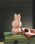 Miffy Coin Box Powder