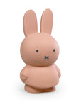 Miffy Money Box Powder