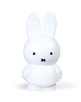 Miffy Money Box