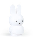 Miffy Coin Box