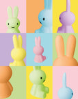 Mr Maria Miffy Colourful Surprise Blind Box