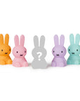 Mr Maria Miffy Colourful Surprise Collection - Blind Box