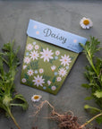 Sow 'n Sow Daisy Gift of Seeds