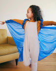 Sarah's Silks Wings Starry Night Front