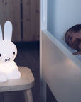 Miffy Lamp