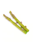 Tara Treasures Felt Asparagus