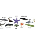 Safari Ltd Ocean Toob