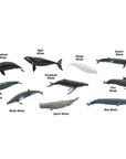 Safari Ltd Whales Toob