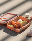 Citron Incredible Tritan Lunch box with 4 compartments - Blush Pink