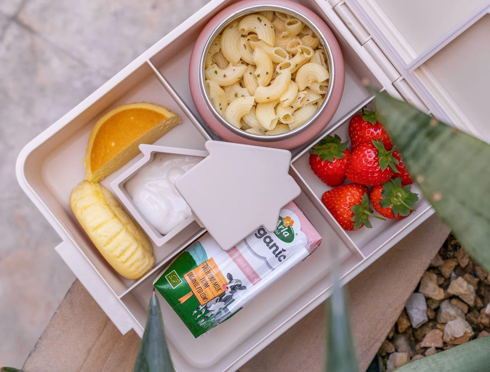 Citron Grand Lunch Box 4 Compartments with Insulated Food Jar school lunch ideas