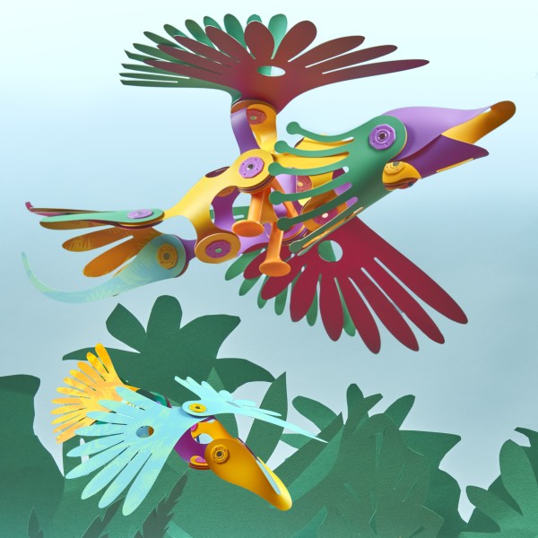 Clixo Tropical Birds