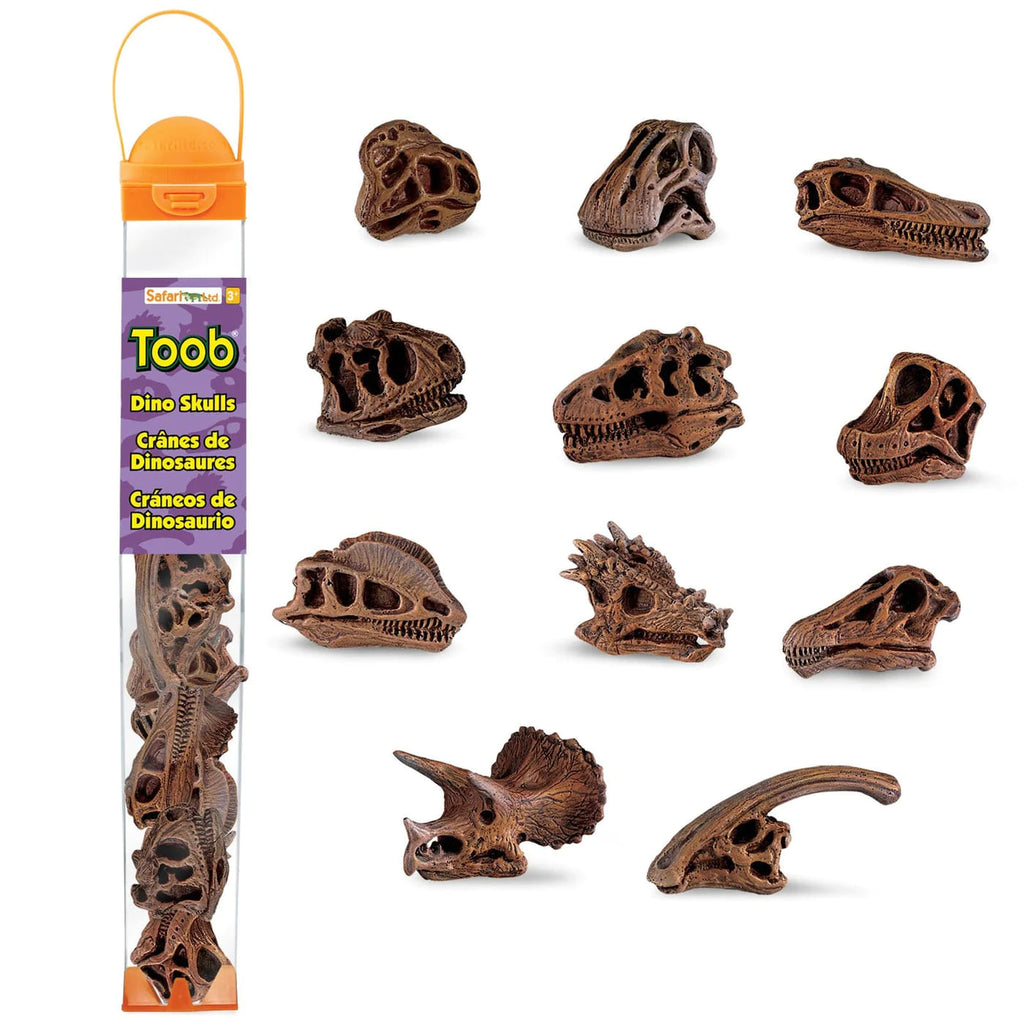 Safari Ltd Dinosaur Skull Toob