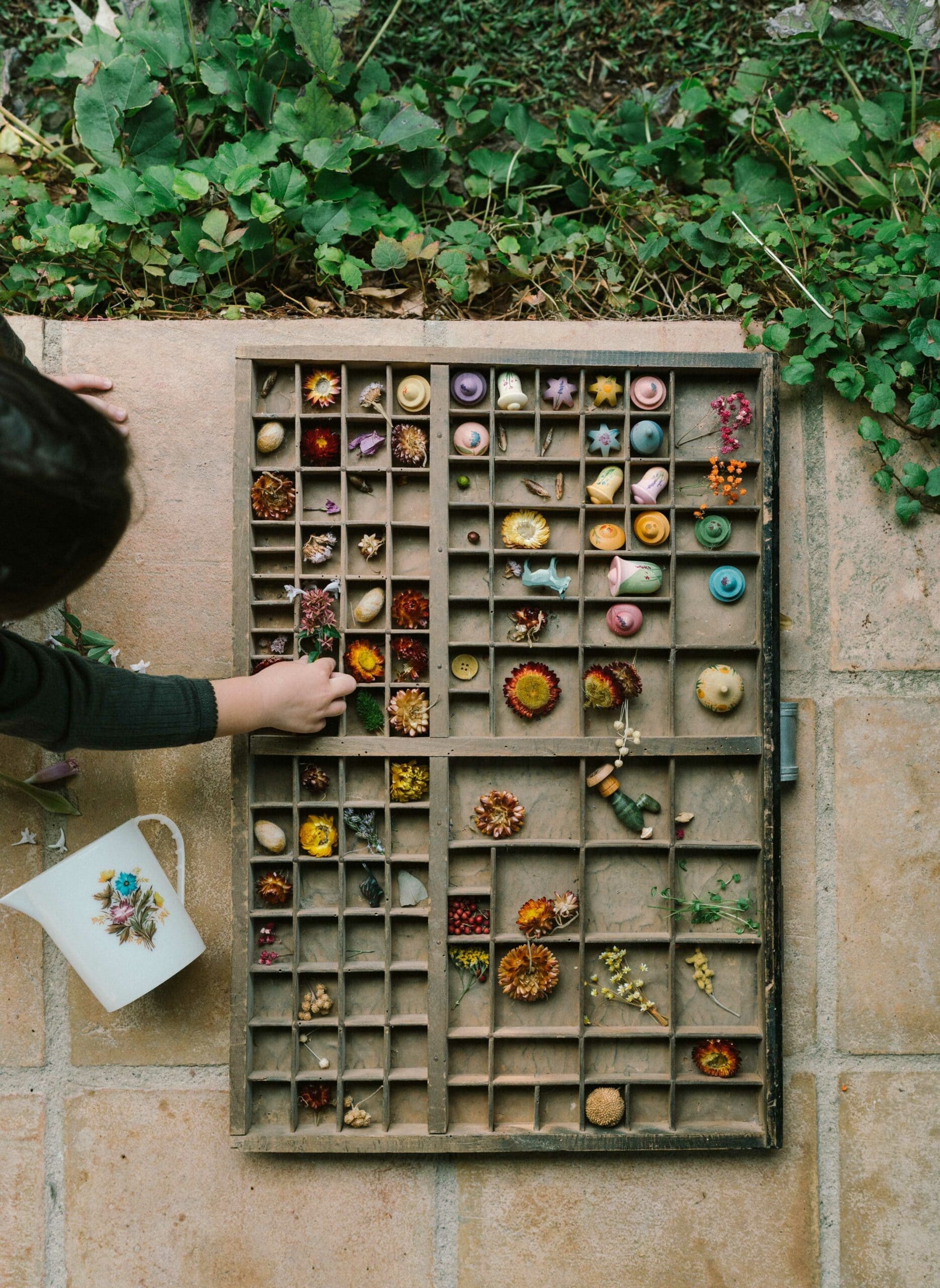Grapat Flower Meadow