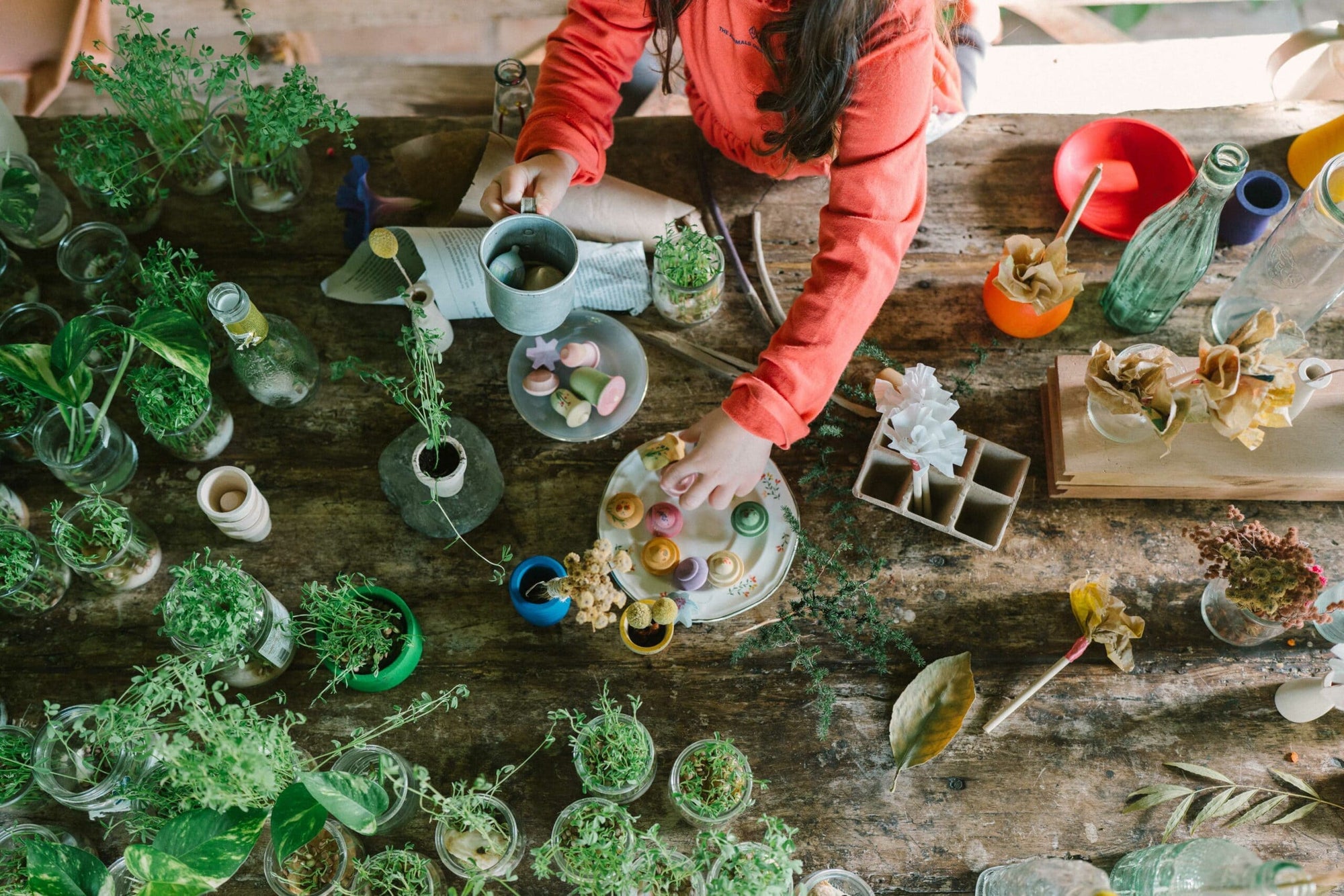 Grapat Flower Meadow