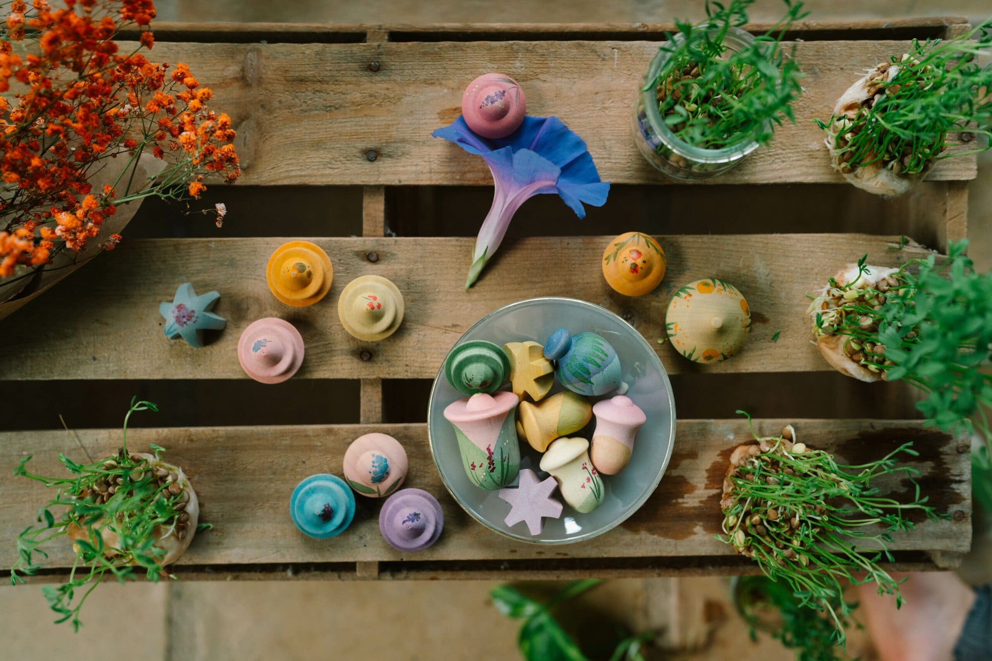 Grapat Flower Meadow