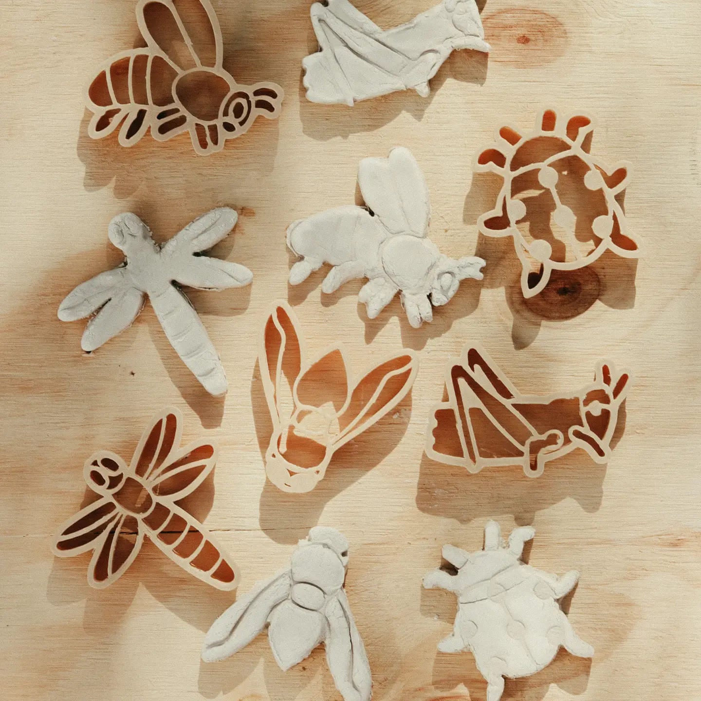 Kinfolk Pantry Mini Insect Eco Cutter Set