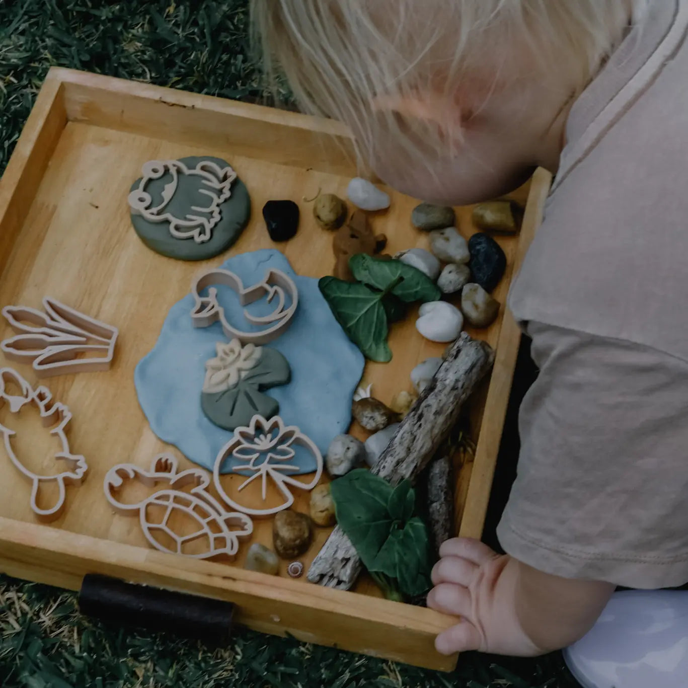 Kinfolk Pantry Pond Life Cutter Set