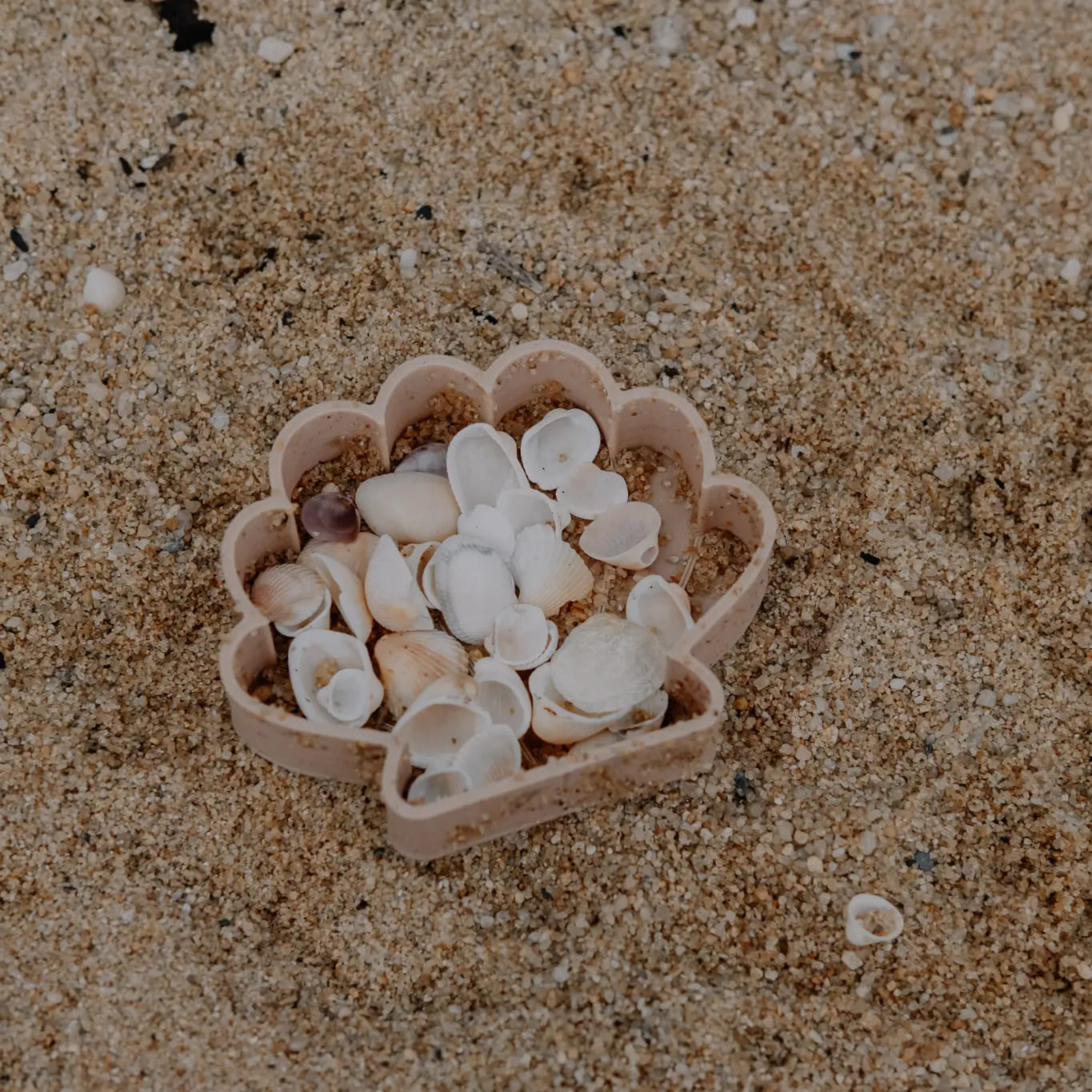 Kinfolk Pantry Sea Shell Eco Mould