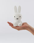 Miffy Bundle of Light silicone 