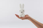 Load image into Gallery viewer, Miffy Bundle of Light silicone 
