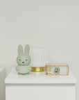 Miffy EUCALYPTUS Money Box  19cm