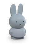 Miffy Money Box Silver Blue