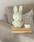 Miffy EUCALYPTUS Money Box 19cm
