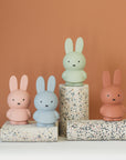 Miffy Piggy Bank