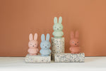 Load image into Gallery viewer, Miffy Money Box 

