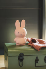Load image into Gallery viewer, Miffy Coin Box Powder
