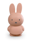 Miffy Money Box Powder