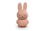 Load image into Gallery viewer, Miffy Money Box Powder
