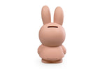 Load image into Gallery viewer, Miffy Money Box Powder
