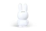 Load image into Gallery viewer, Miffy Piggy Bank
