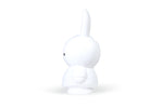 Load image into Gallery viewer, Miffy Money Box Pure
