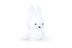 Load image into Gallery viewer, Miffy Coin Box
