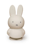 Miffy Money Box Sand