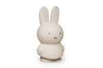 Load image into Gallery viewer, Miffy Coin Box Sand
