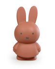 Miffy Money Box Terra