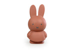 Load image into Gallery viewer, Miffy Money Box Terra
