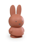 Miffy Coin Box Terra