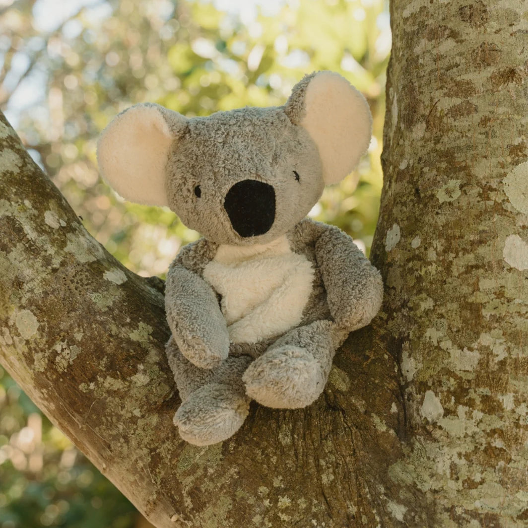 Senger Cuddly Animal - Koala Australian Exclusive