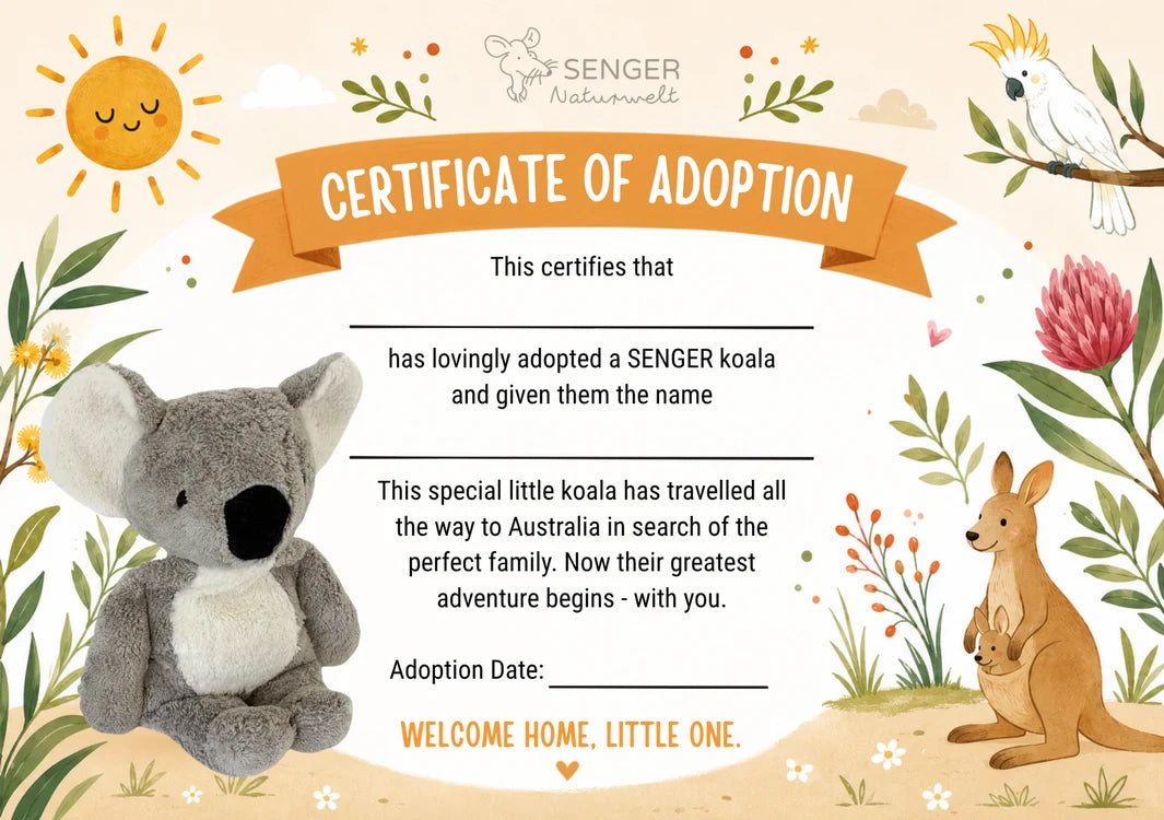 Senger Cuddly Animal - Koala Australian Exclusive Certificate of Adoption